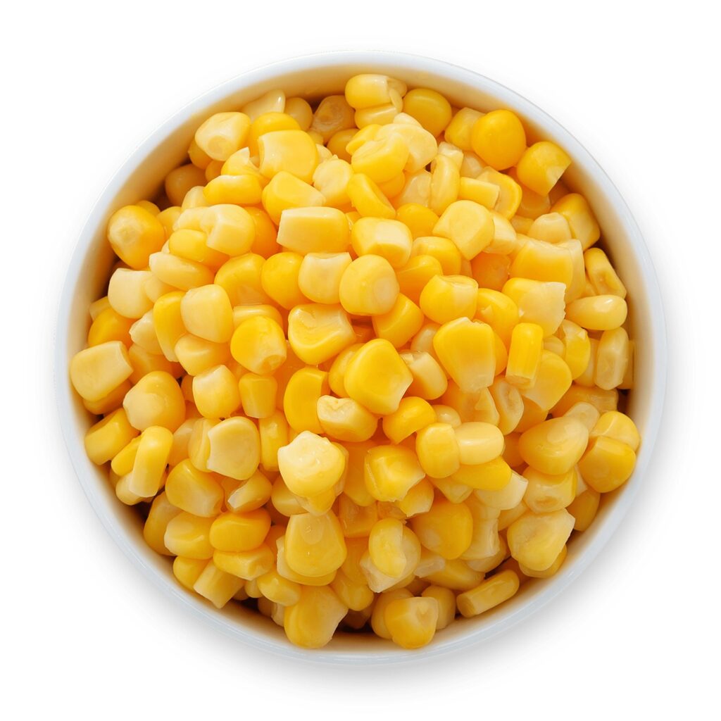 CAN BIRDS EAT CORN
