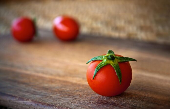 can birds eat tomatoes can birds eat tomatoes