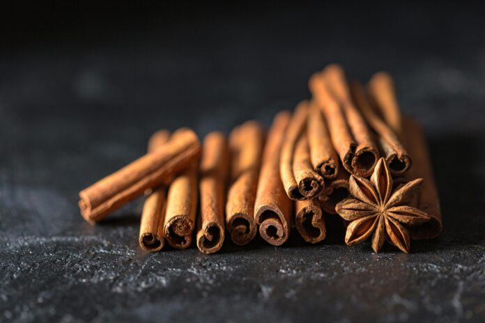 Can Birds Eat Cinnamon Can Birds Eat Cinnamon