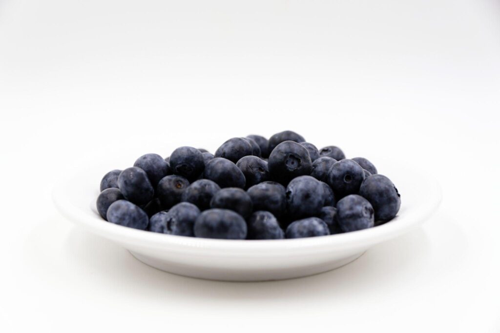how to feed blueberries to birds safely