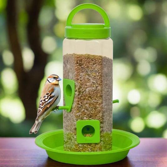 Can Birds Eat Pumpkin seeds Can Birds Eat Pumpkin seeds